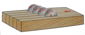 Wielopiła Winter Holztechnik MULTIMAX 300 zdjęcie 7